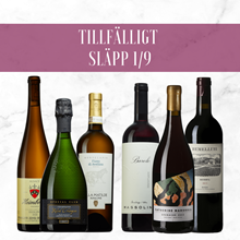 Tillfälligt släpp 1/9 2023 Tillfälligt släpp 1/9 2023